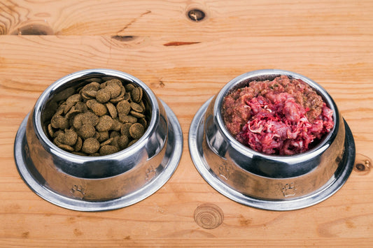 Raw Food Diet or Kibble?