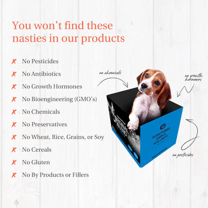 Original Blend Fish & Chicken