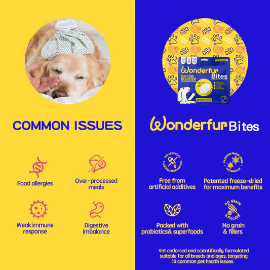 Immune Booster Freeze-Dried Treats for Dogs