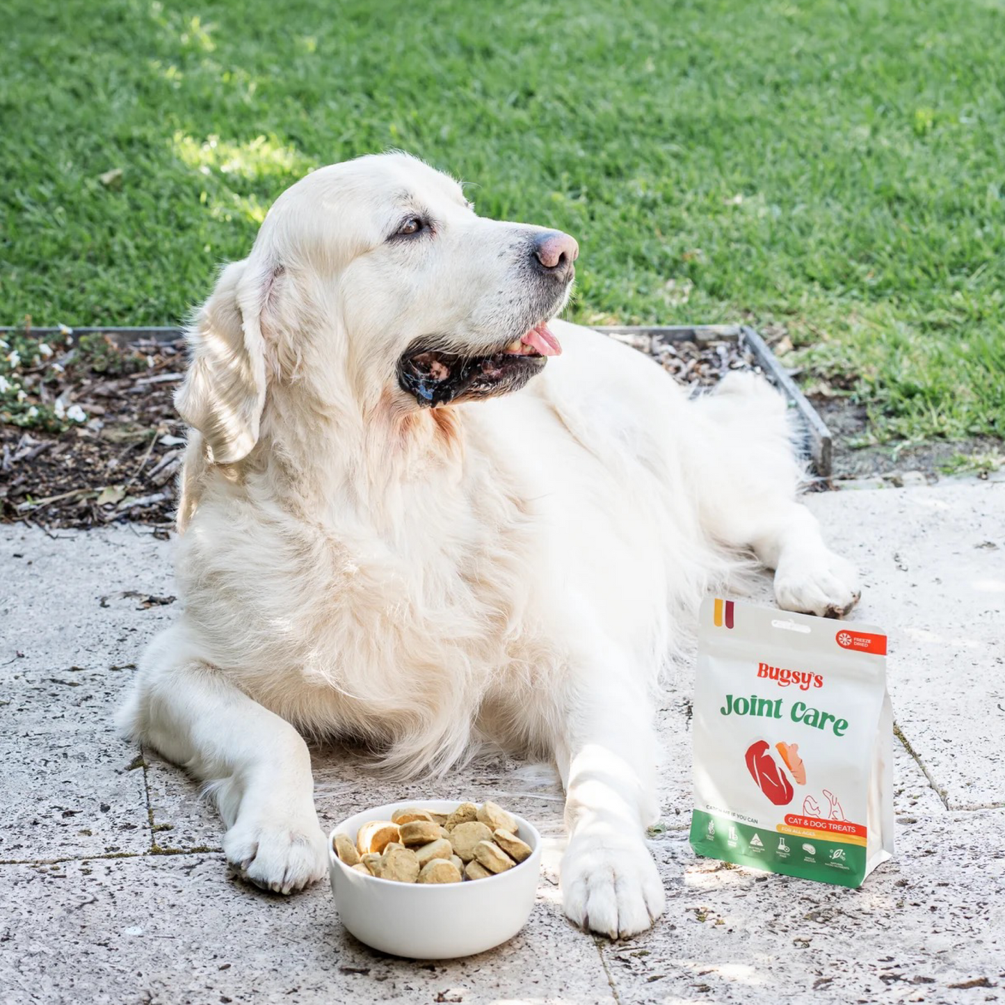 Beef & Turmeric | Joint Care (Freeze Dried Treats)