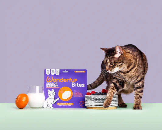 Senior Support for Cats