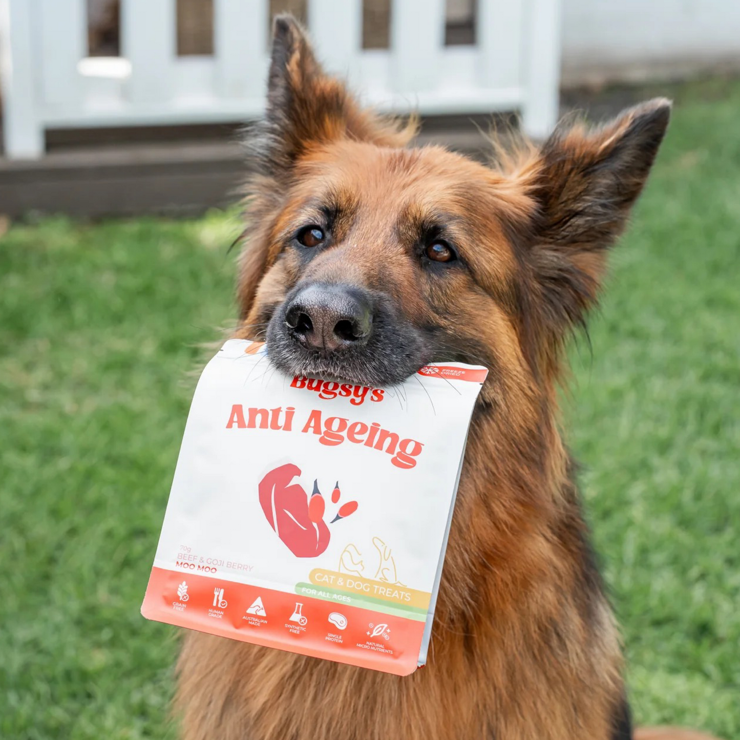 Beef & Goji Berry | Anti Aging (Freeze Dried Treats)