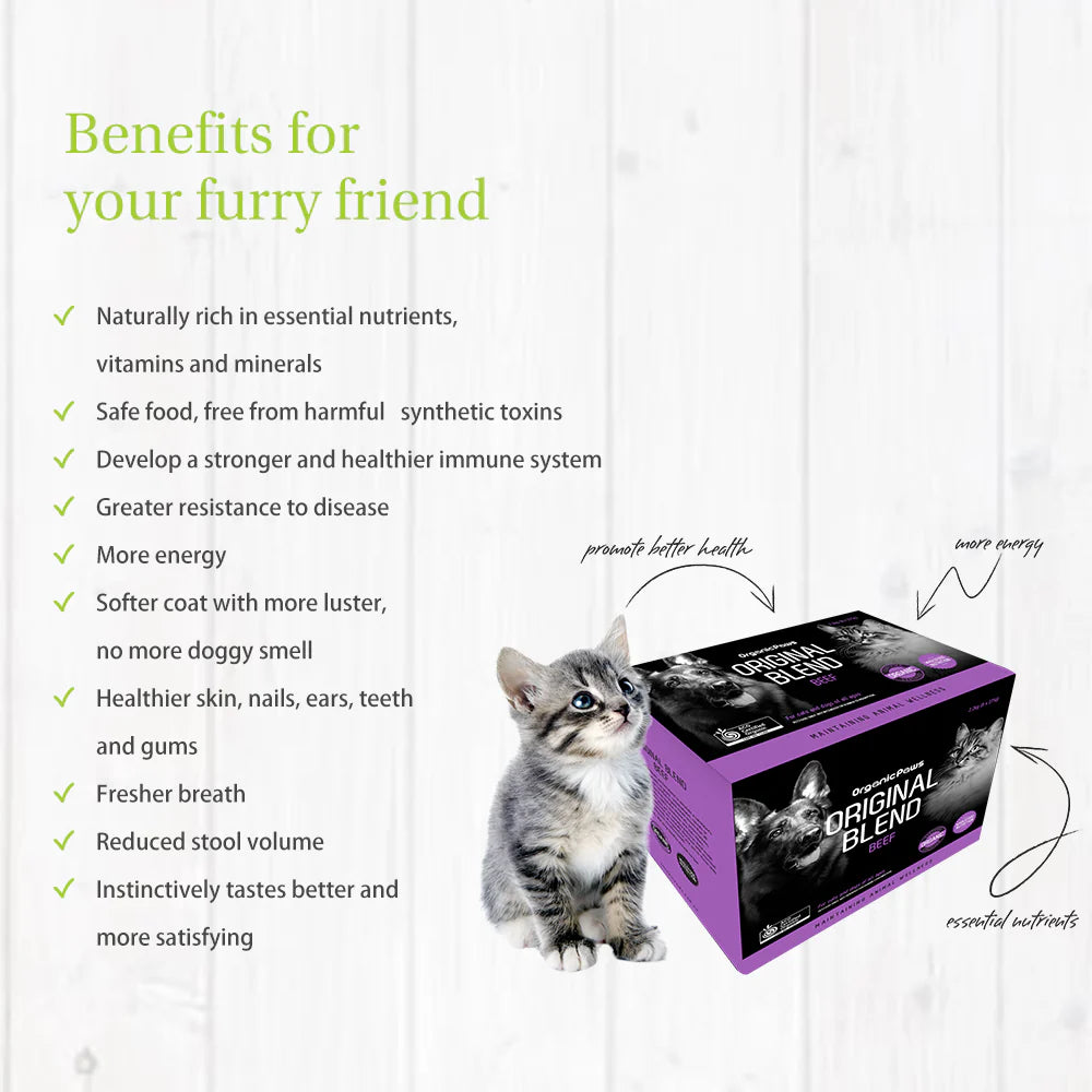 Original Blend Kangaroo