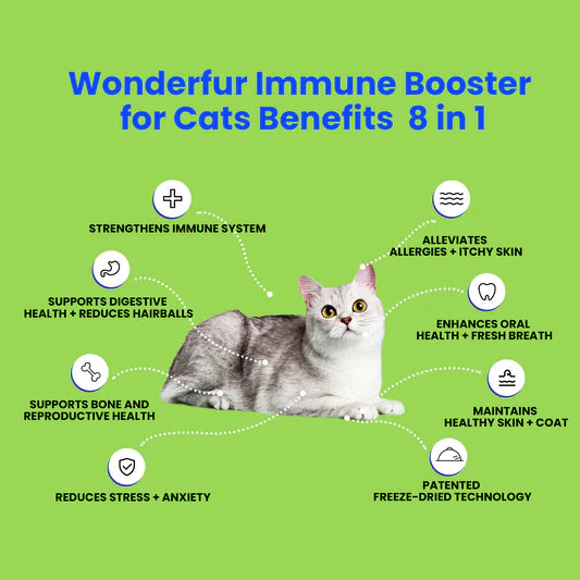 Immune Booster for Cats