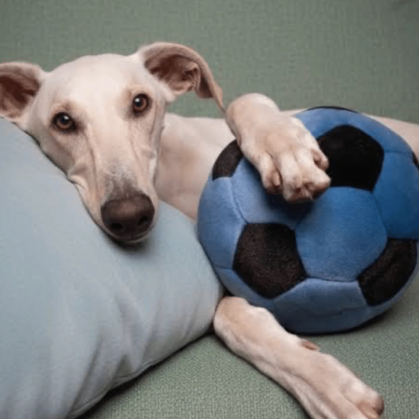 Blue Soccer Ball
