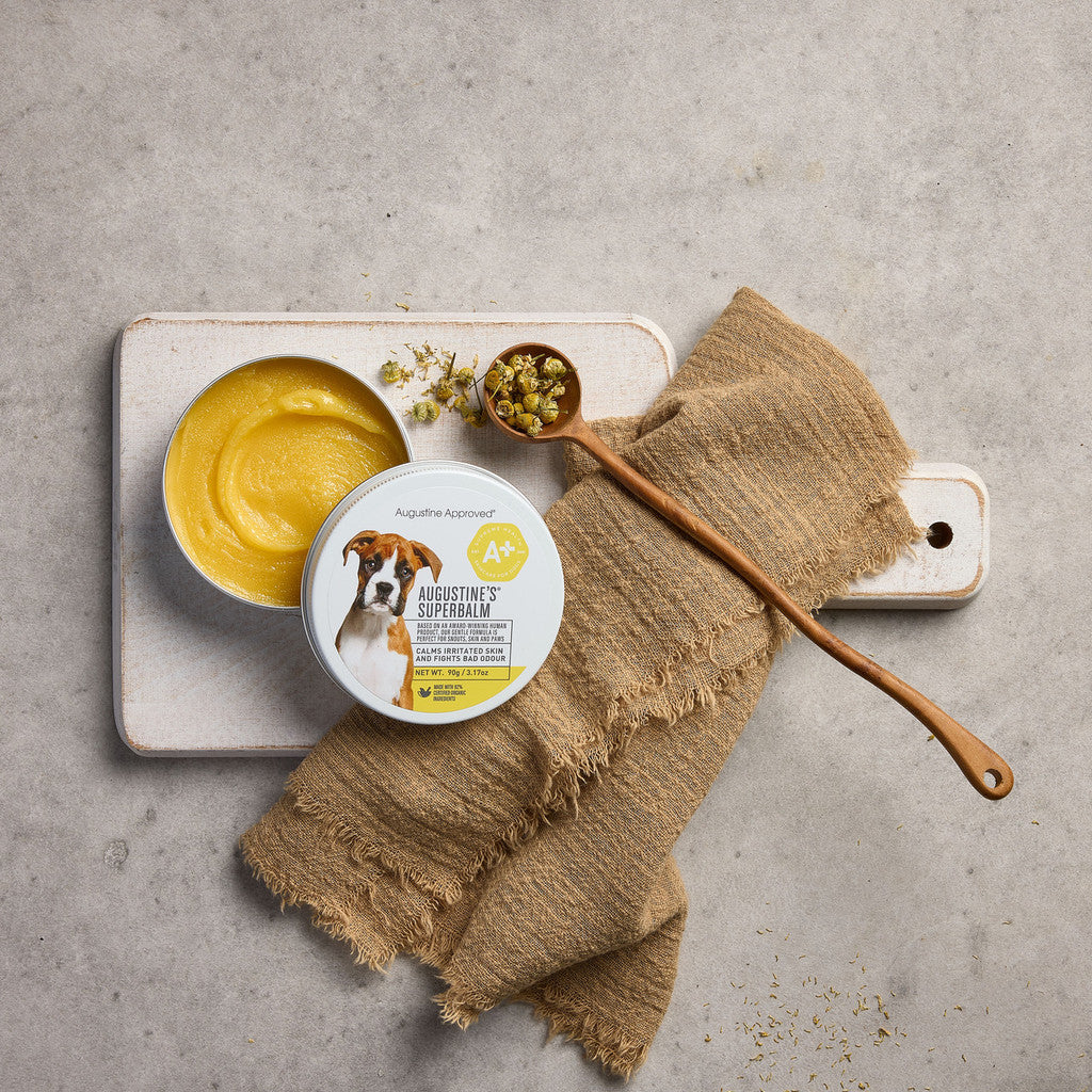 Augustine’s SuperBalm for Dogs & Cats