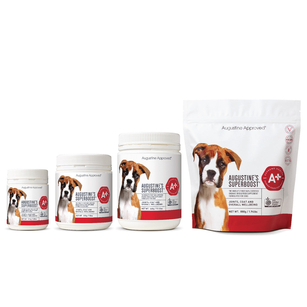 Organic vitamins hotsell for dogs