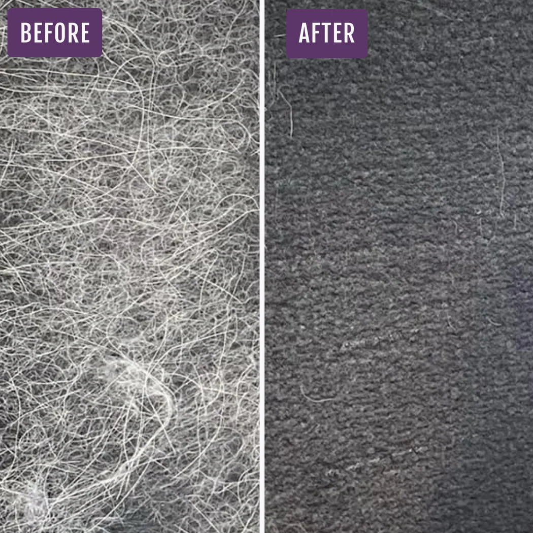 FurViking Pet Hair Removal Tool