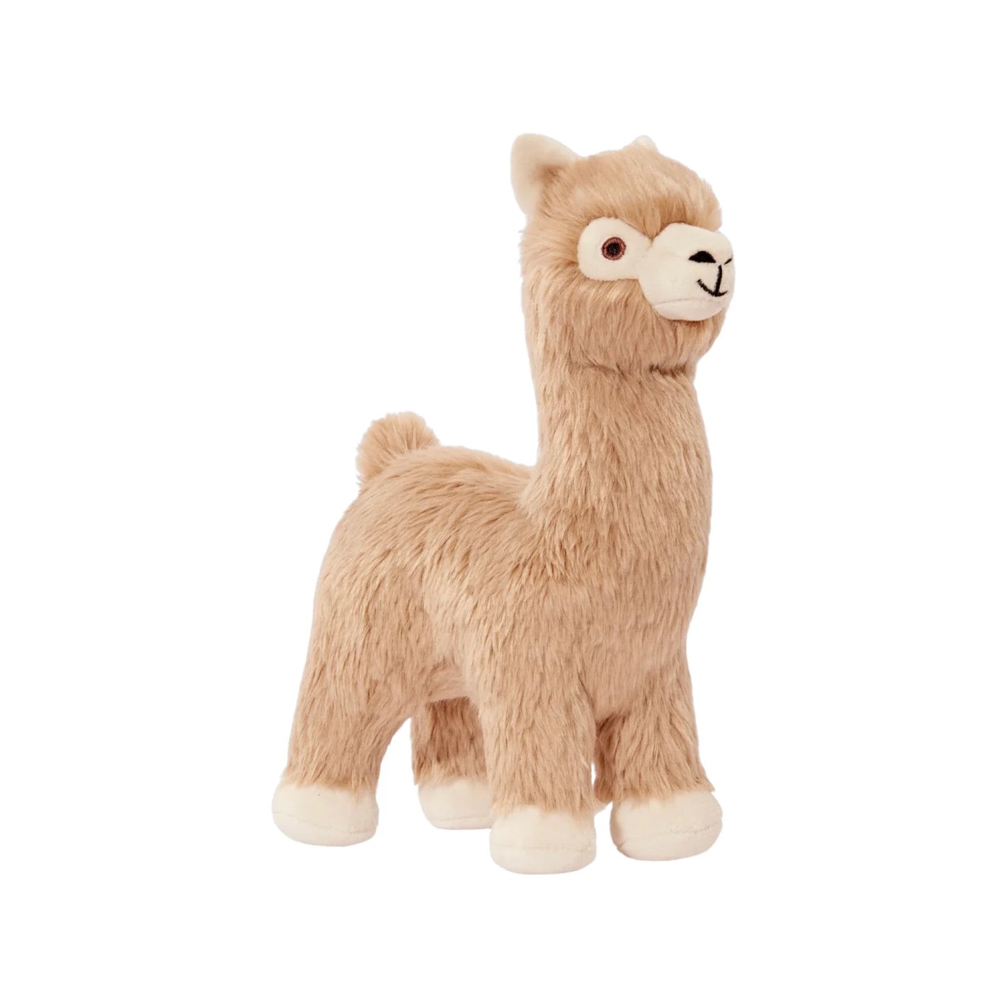 Inca The Alpaca