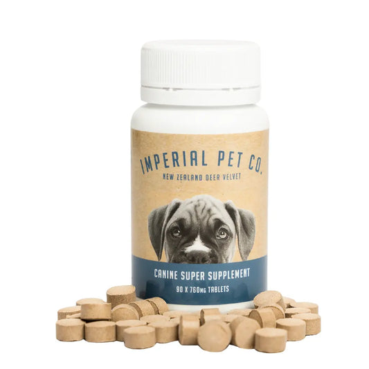 Deer Velvet (Arthritis, Joint Health, Hip Dysplasia)