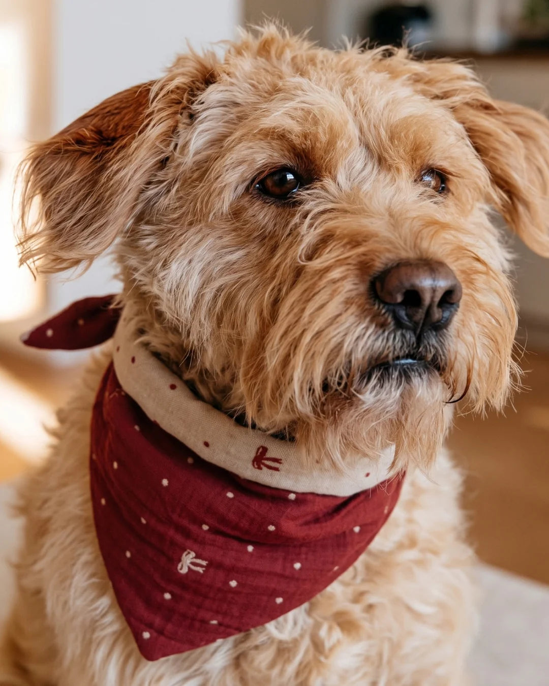 Poppy Bandana