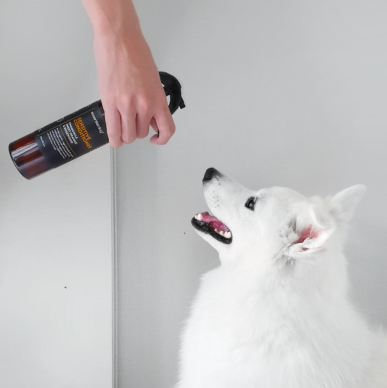 Sensitive Leave-In Conditioner for Dogs