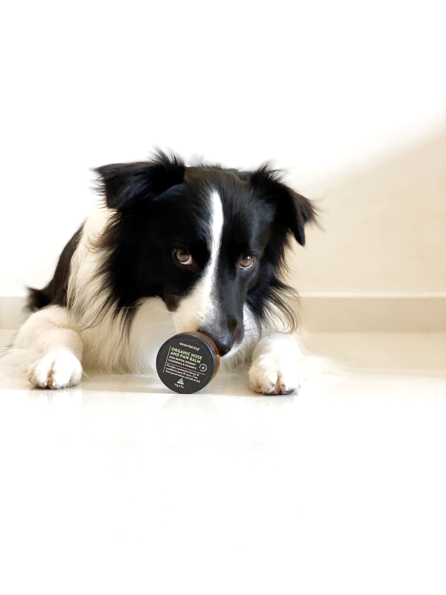 Organic Nose & Paw Balm