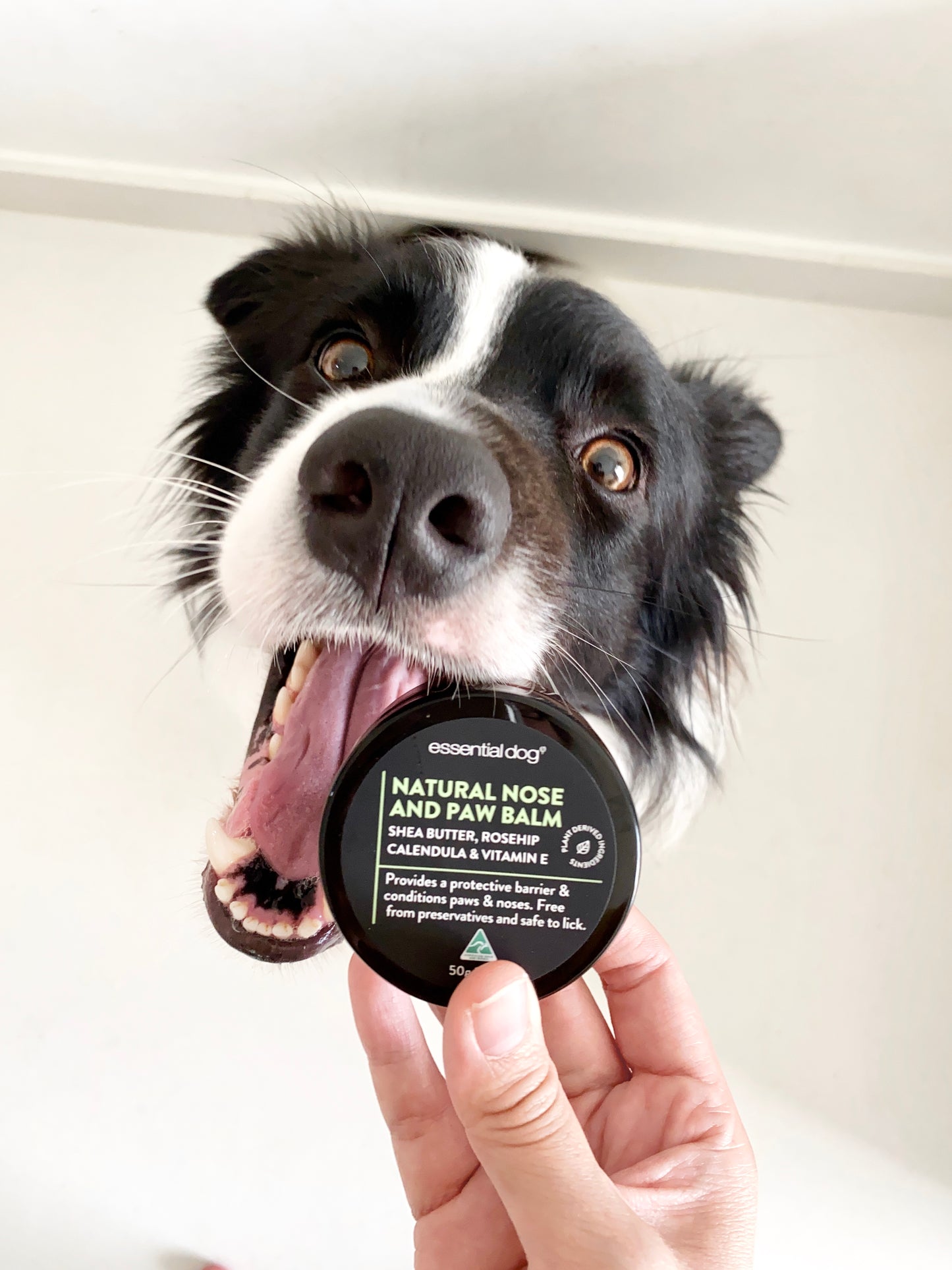 Organic Nose & Paw Balm
