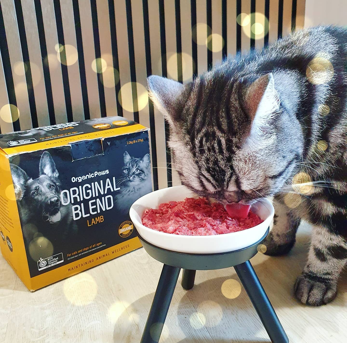 Original Blend Lamb
