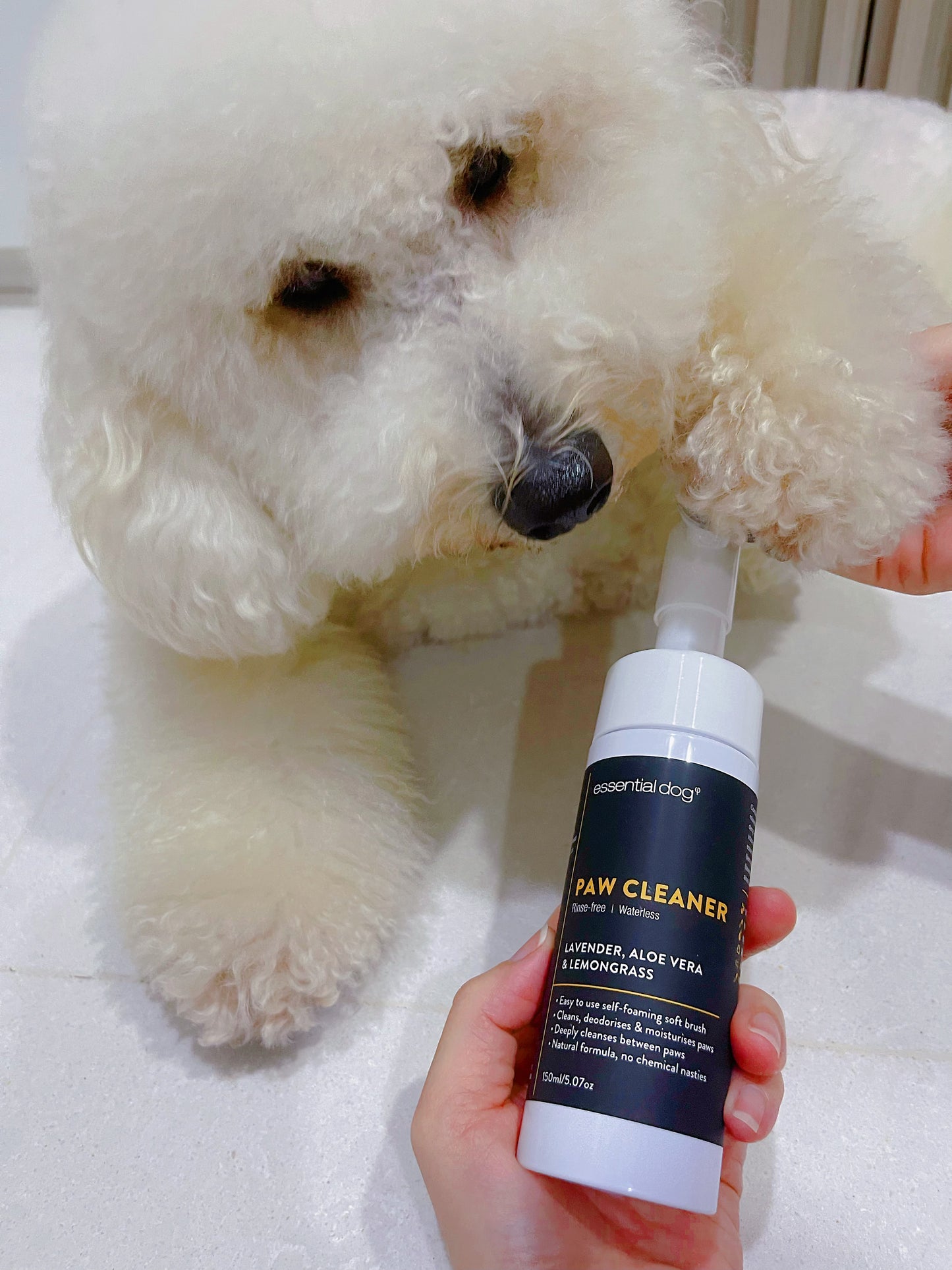 Rinse-Free Paw & Body Cleaner