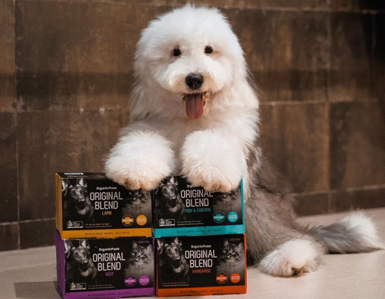 Original Blend Lamb