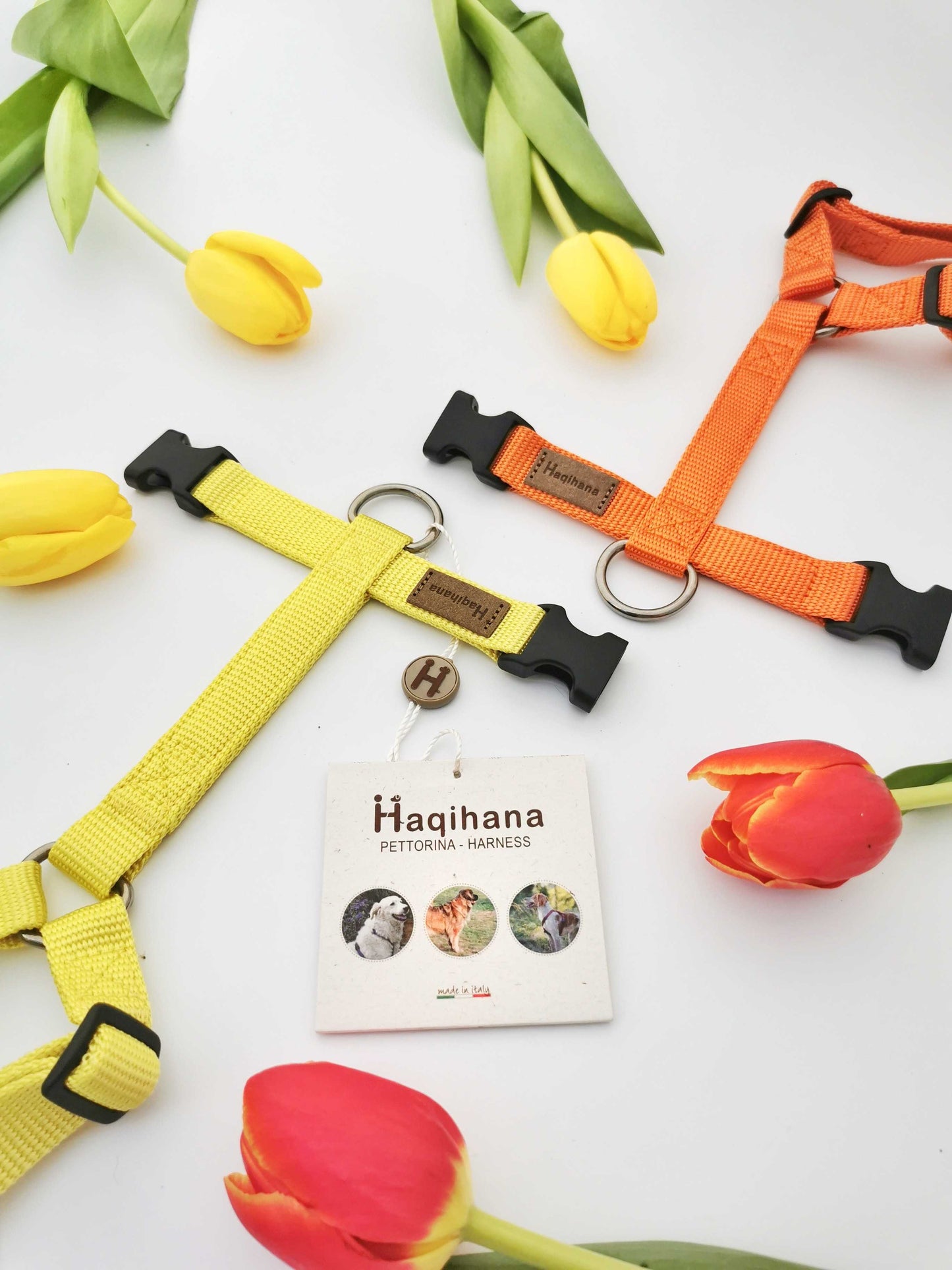 Haqihana Carrot Harness
