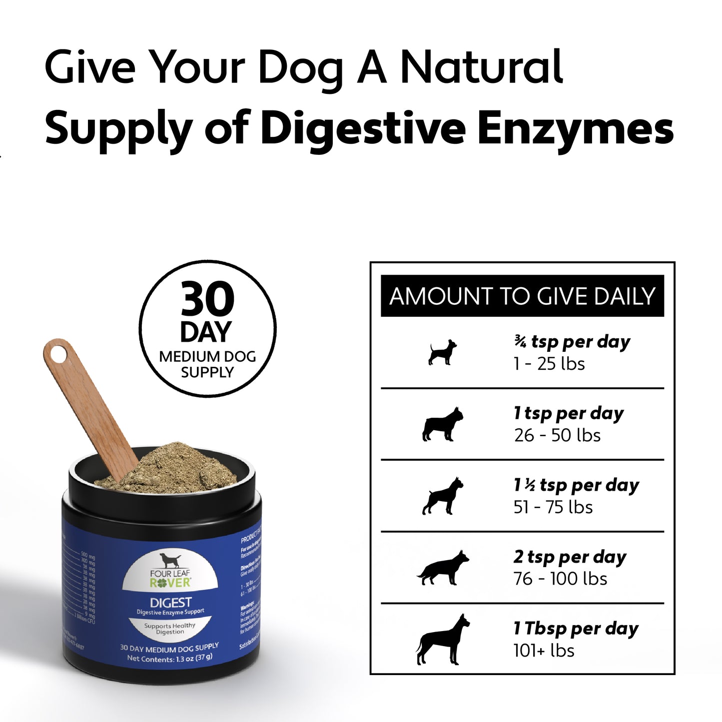 Digest - Supports Normal Pancreas & Organ Function