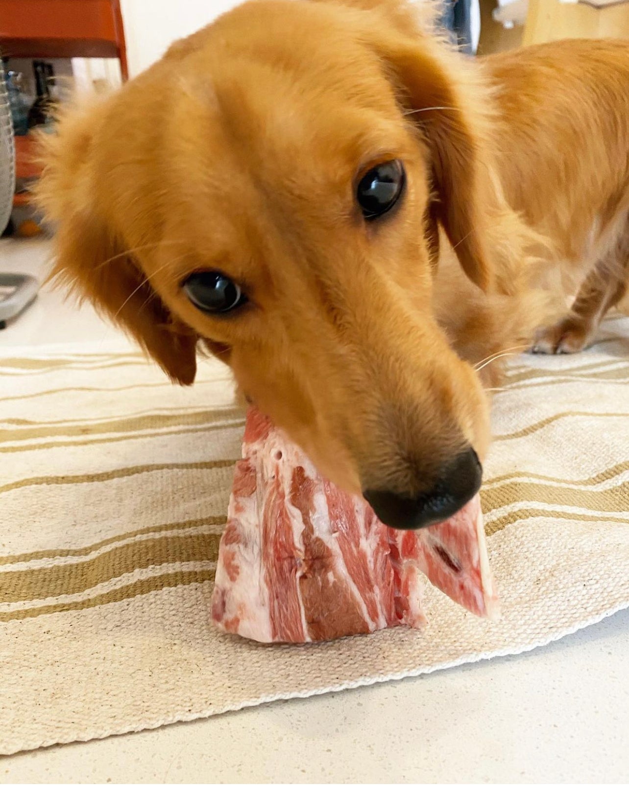 Lamb Bones
