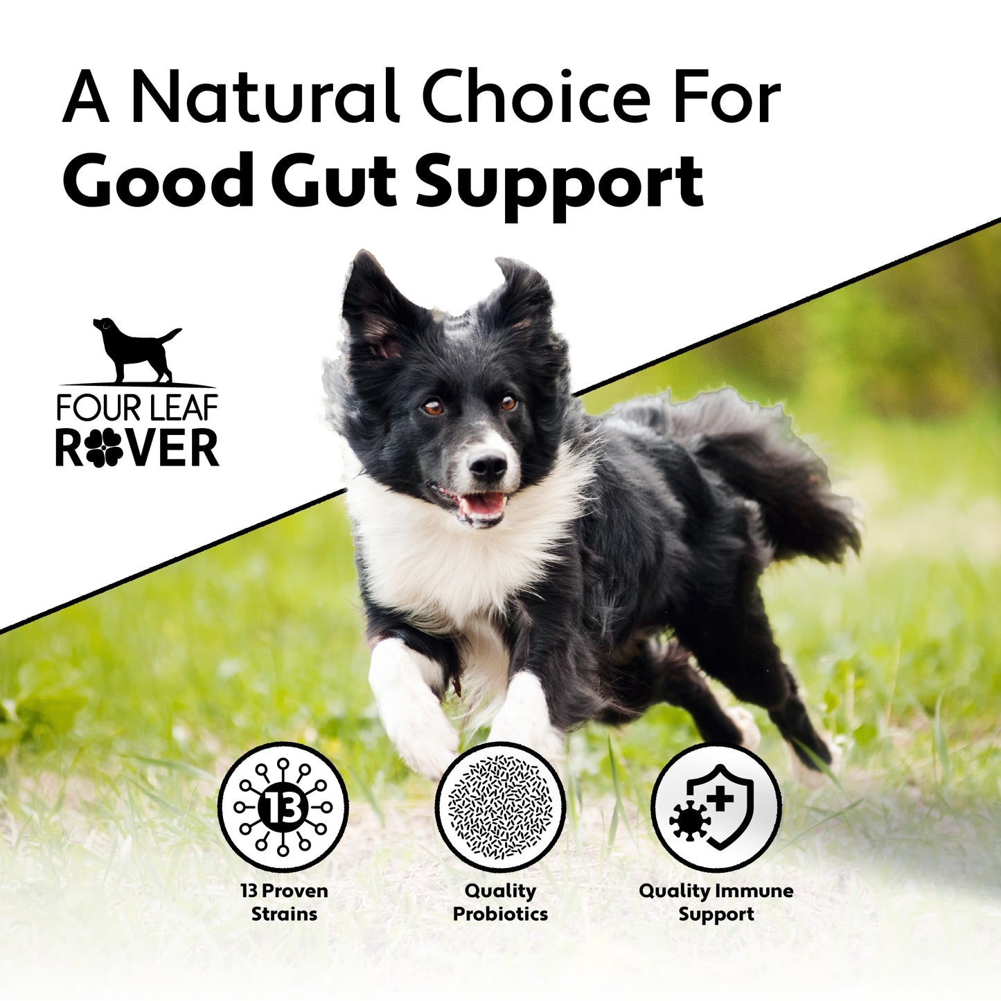 Bifido For Fido - Immediate Support For Digestive Distress