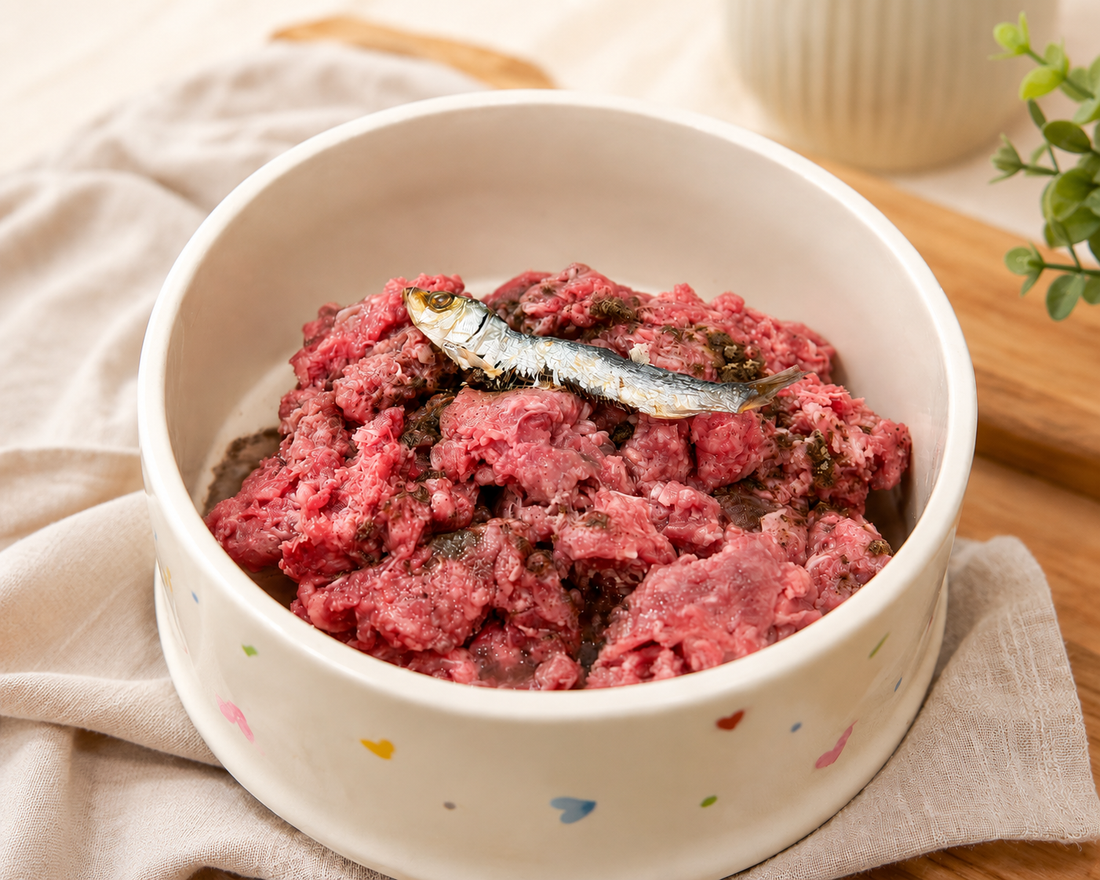 What Is BARF Feeding? Understanding Raw Diets for Dogs