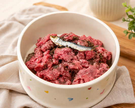 What Is BARF Feeding? Understanding Raw Diets for Dogs