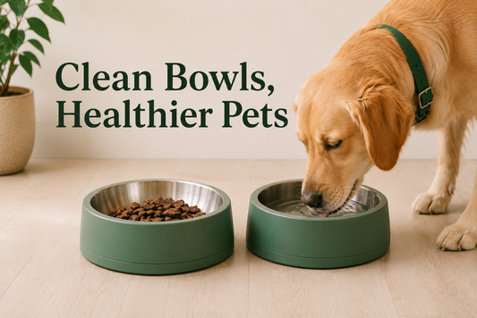 You Wash Your Dishes Every Day. What About Your Pet’s Bowl?
