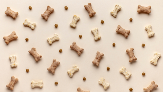 Air-Dried vs Freeze-Dried vs Dehydrated Dog Food Guide