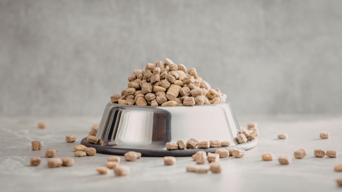 Why Cautious Owners Stick With Kibble