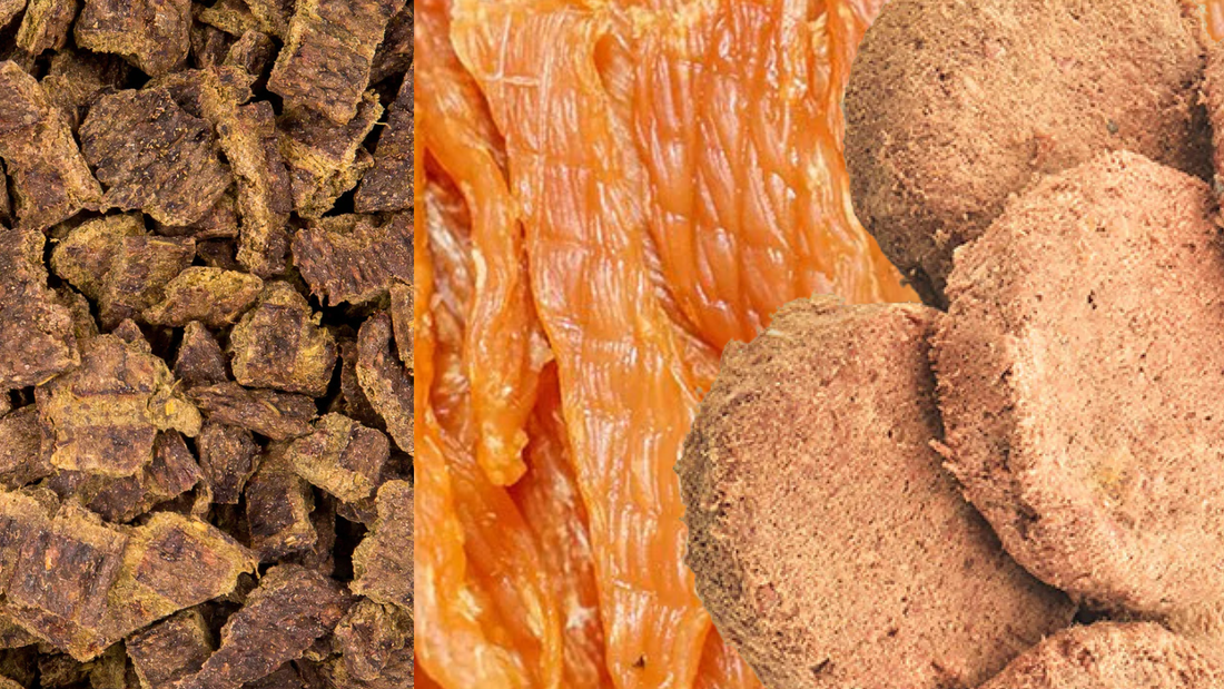 Air-Dried vs Freeze-Dried vs Dehydrated Dog Food Guide