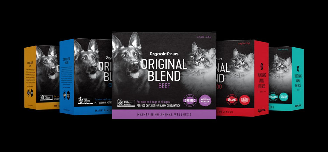 Raw Feeding in Singapore: The Ultimate Guide to a Healthier Diet for Your Dog