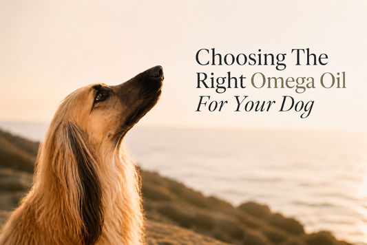 Not All Omega Oils Are The Same - Here's Why