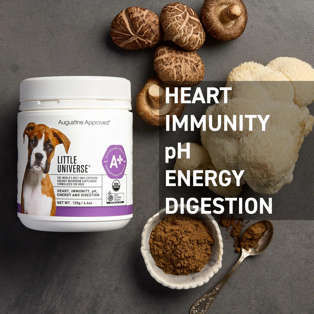 Immunity Support