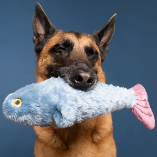 Fitz Fish
