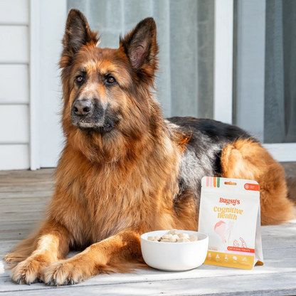 Chicken & Ginseng | Cognitive Health (Freeze Dried Treats)