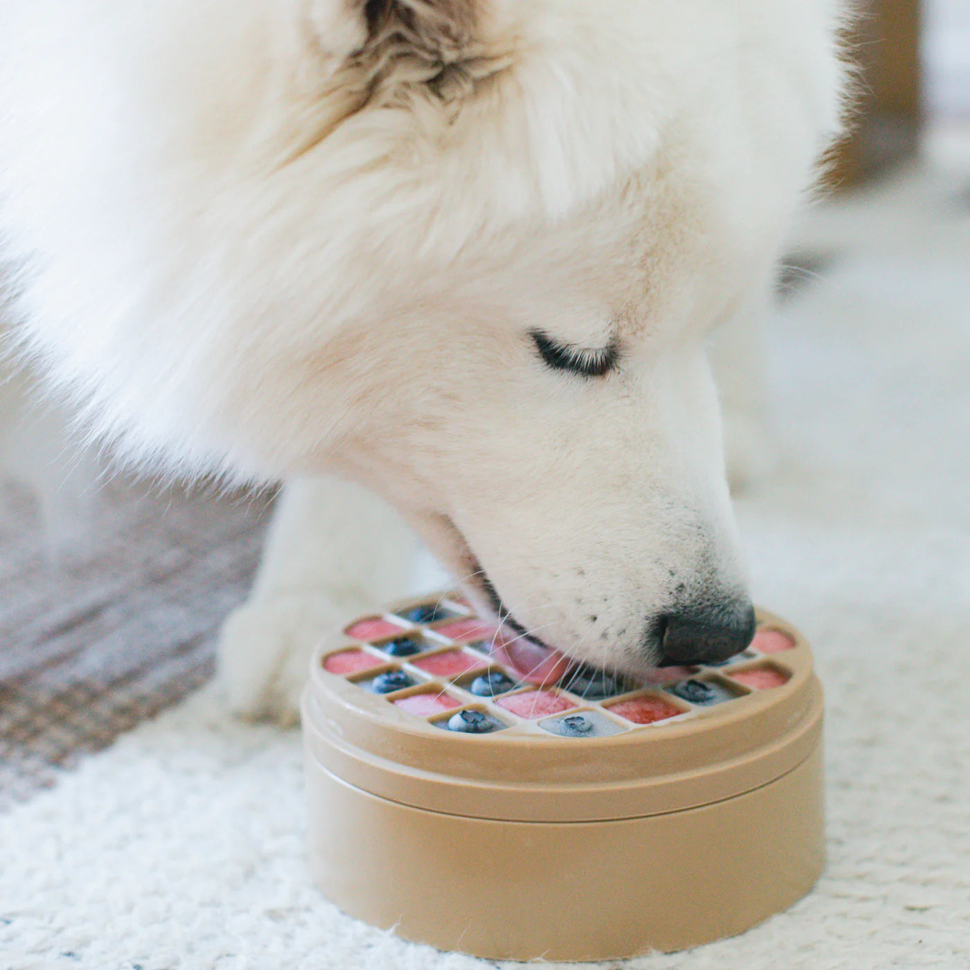 3-IN-1 BENTO (Lick Mat + Slow Feeder)