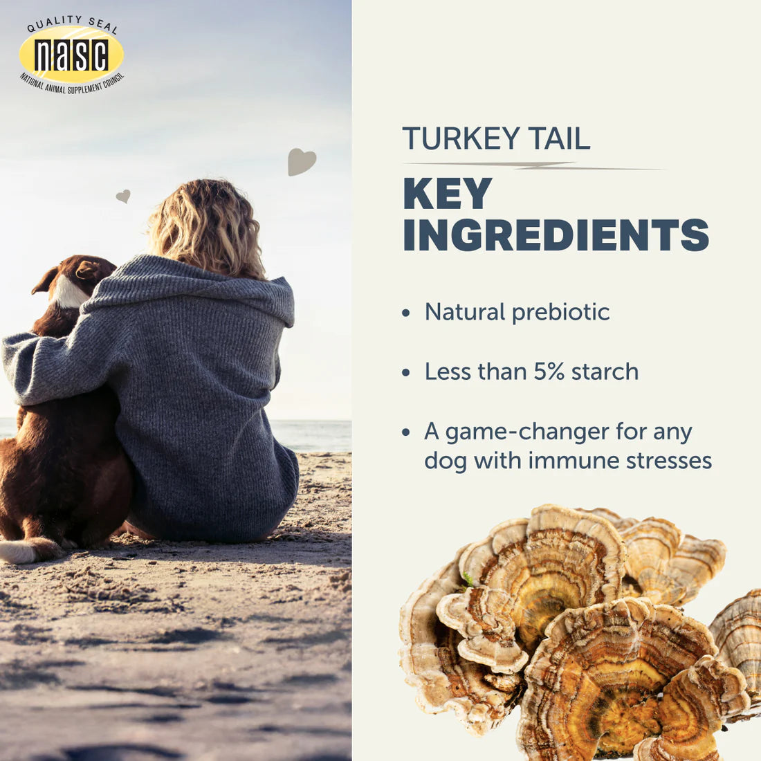 Turkey Tail Mushroom - Support Immune Function