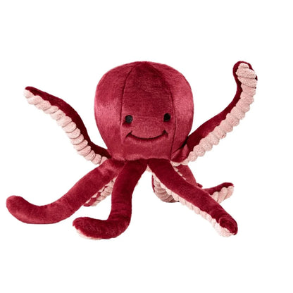 Olympia Octopus