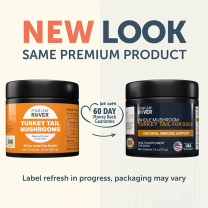 Turkey Tail Mushroom - Support Immune Function