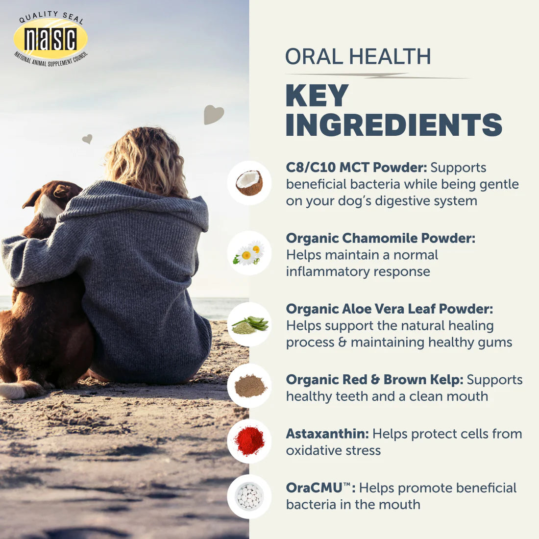 Oral Probiotics - Dental Powder