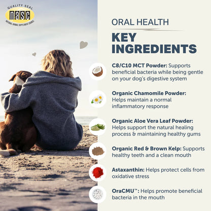Oral Probiotics - Dental Powder