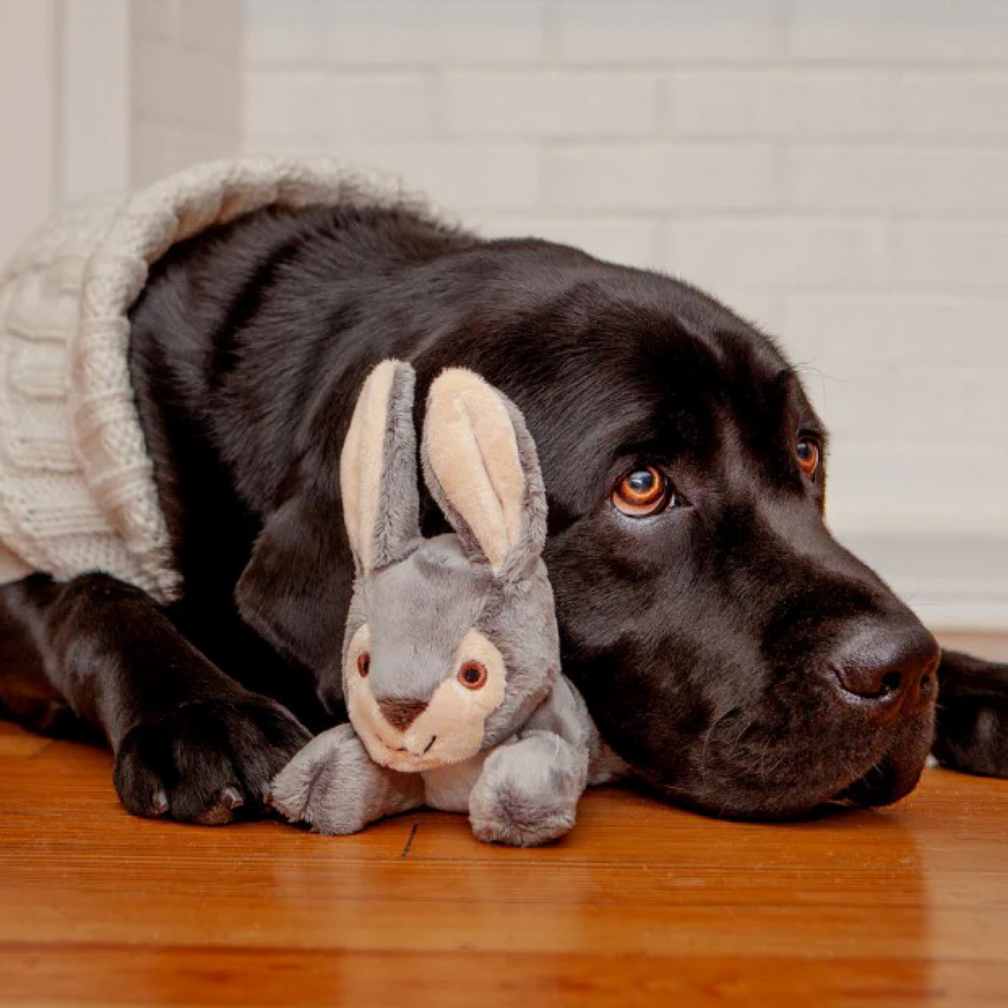 Jessica The Rabbit