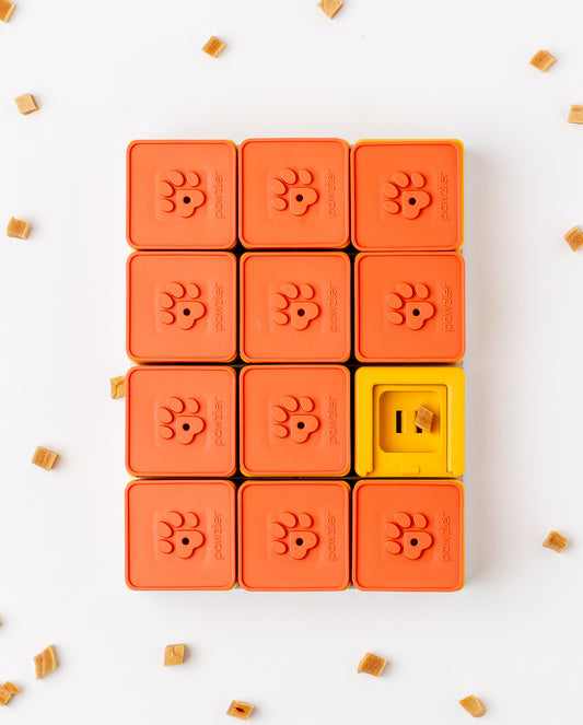 Treat Maze Set (Advanced)