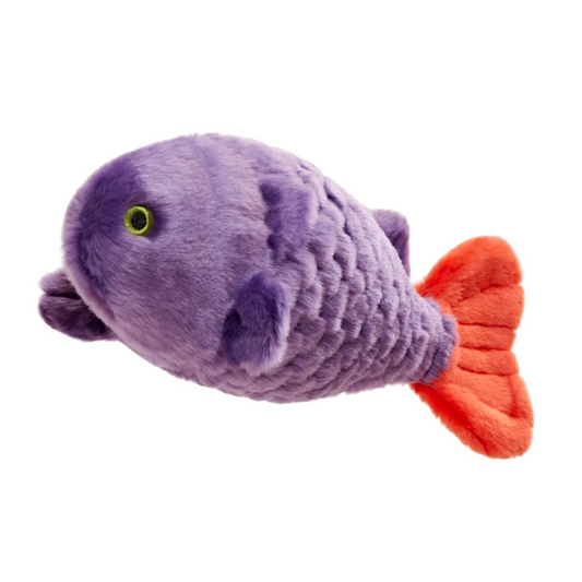 Cici the Tropical Fish