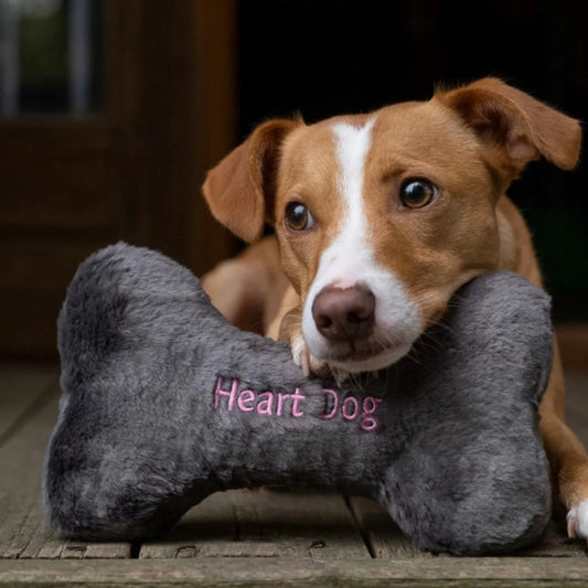 Heart Dog Bone