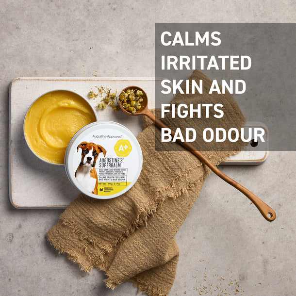 Augustine’s SuperBalm for Dogs & Cats