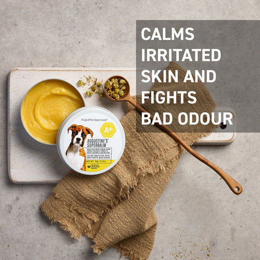 Augustine’s SuperBalm for Dogs & Cats