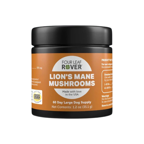 Lion’s Mane Mushrooms - Boost Brain & Neurological Functions