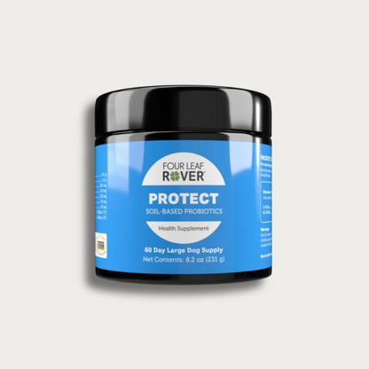 Protect - Everyday Probiotics For Gut Maintenance